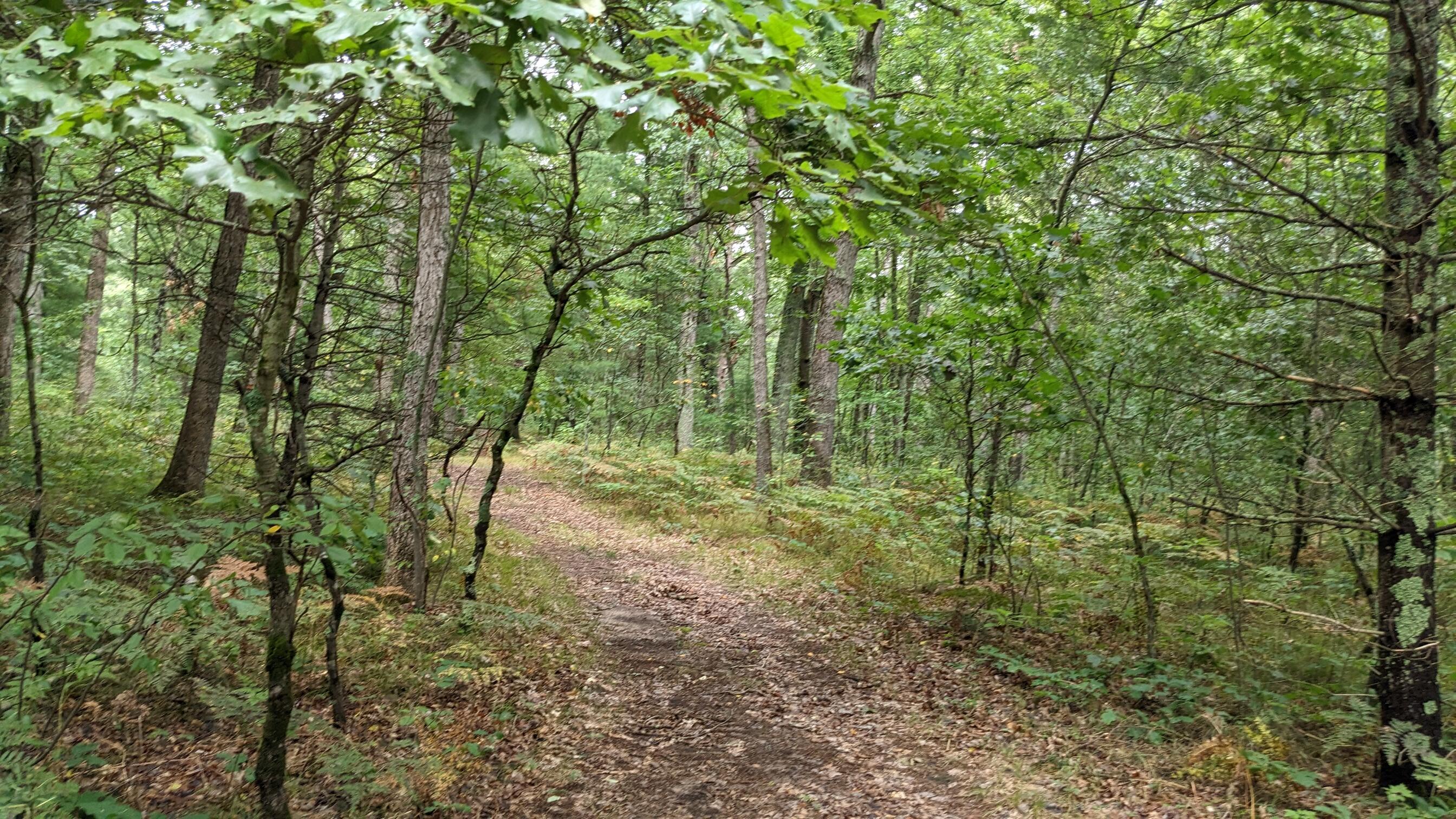 Sand Road Montague, MI 49437 - Photo 18 of 31 1000010036