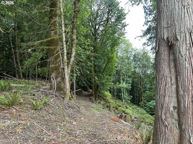 H Street Vernonia, OR 97064 - Photo 8 of 21