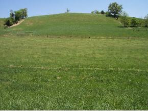Lot16 Happy Valley Road, Unit 16 Limestone, TN 37681 - Photo 1 of 1 Photo 1