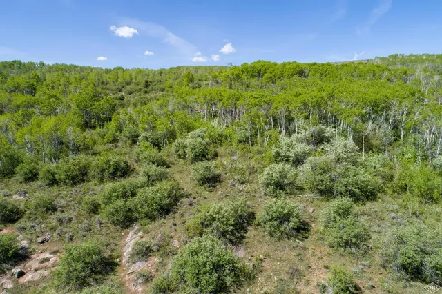 $5,950,000 | 3000 Red Sky Ranch Road, Wolcott, CO 81655