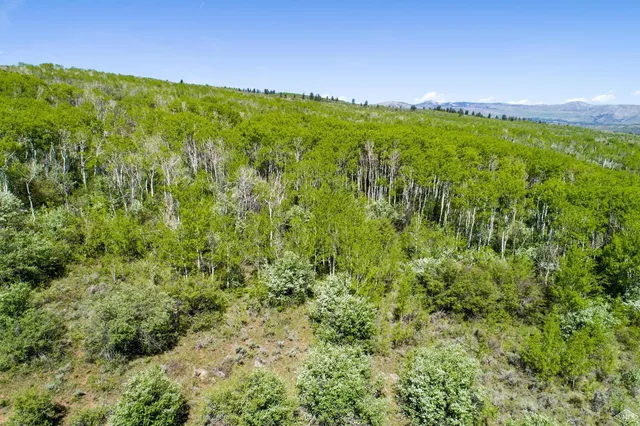 $5,950,000 | 3000 Red Sky Ranch Road, Wolcott, CO 81655