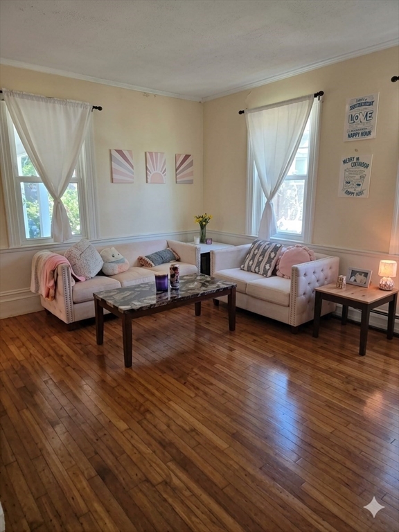 155 Amity Street Amherst, MA 01002 - Photo 13 of 16