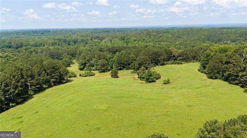 0 Capps Ferry Road Palmetto, GA 30268 - Photo 7 of 71