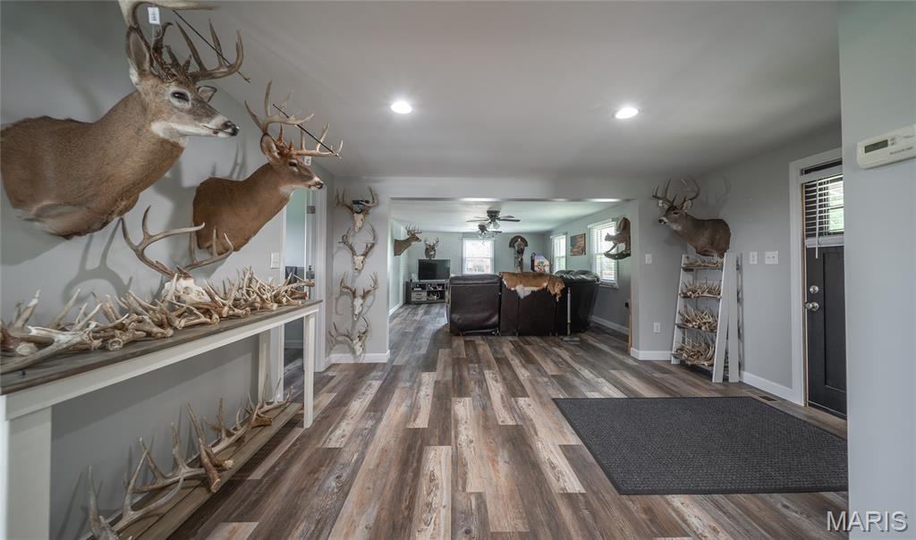 1757 Infidel Hollow Road Mozier, IL 62070 - Photo 46 of 52