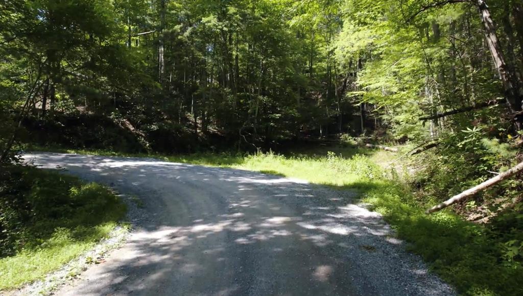 0 Halls Top Road Hartford, TN 37753 - Photo 14 of 18 Gallery Image 14