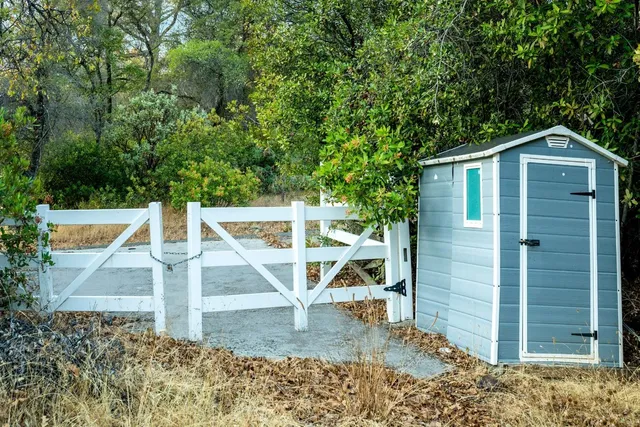 a view of a yard with plants and trees