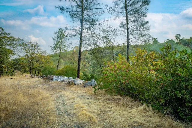 a backyard of a house with lots of green space