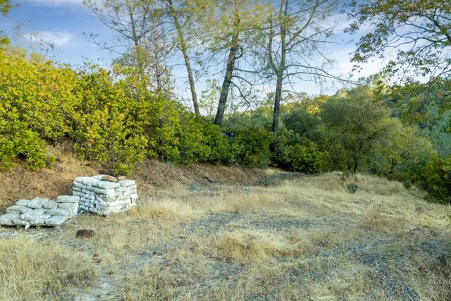 a view of a yard with plants and a bench