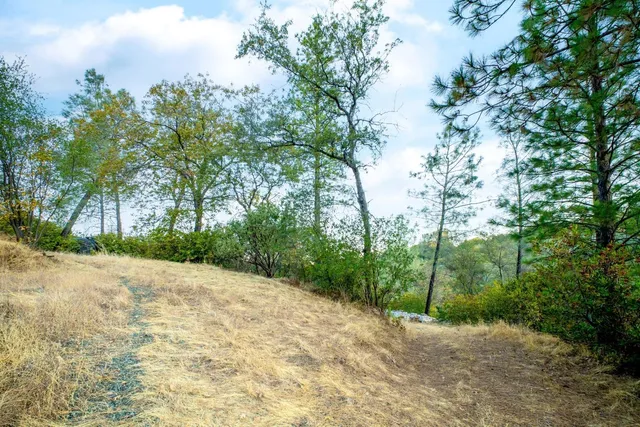 a view of a pathway both side of yard