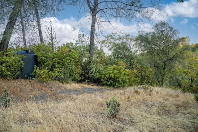 a view of a city with lush green forest