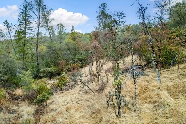 an aerial view of residential houses with outdoor space and trees
