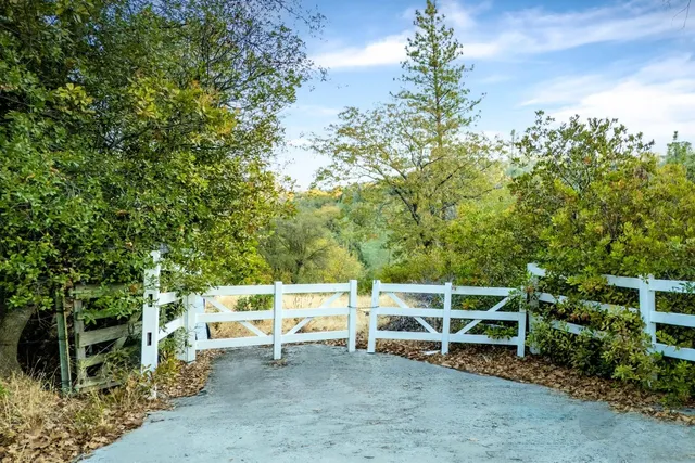 a couple of blue chairs sitting in a backyard