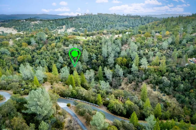 a backyard of a house with lots of green space and plants