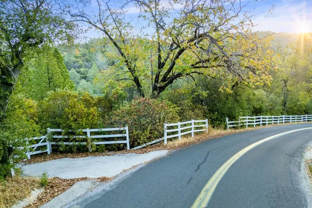 a view of a yard with plants and a trees