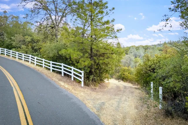 a front view of a house with a backyard and tree s