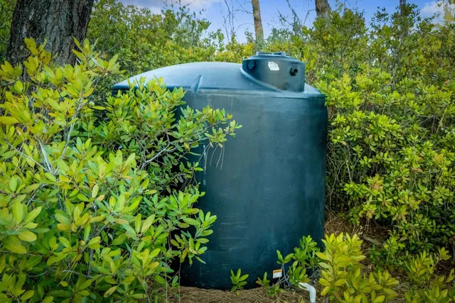 a view of a garden with a plants
