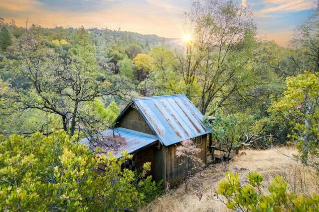 a view of a backyard with plants and a garden