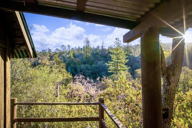 a view of a yard with trees