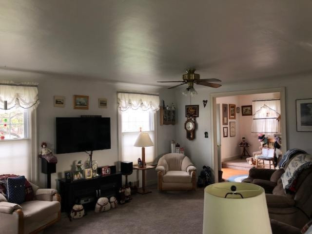 821 South Chestnut Street Reed City, MI 49677 - Photo 4 of 22 IMG_1119