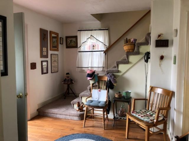 821 South Chestnut Street Reed City, MI 49677 - Photo 10 of 22 IMG_1125