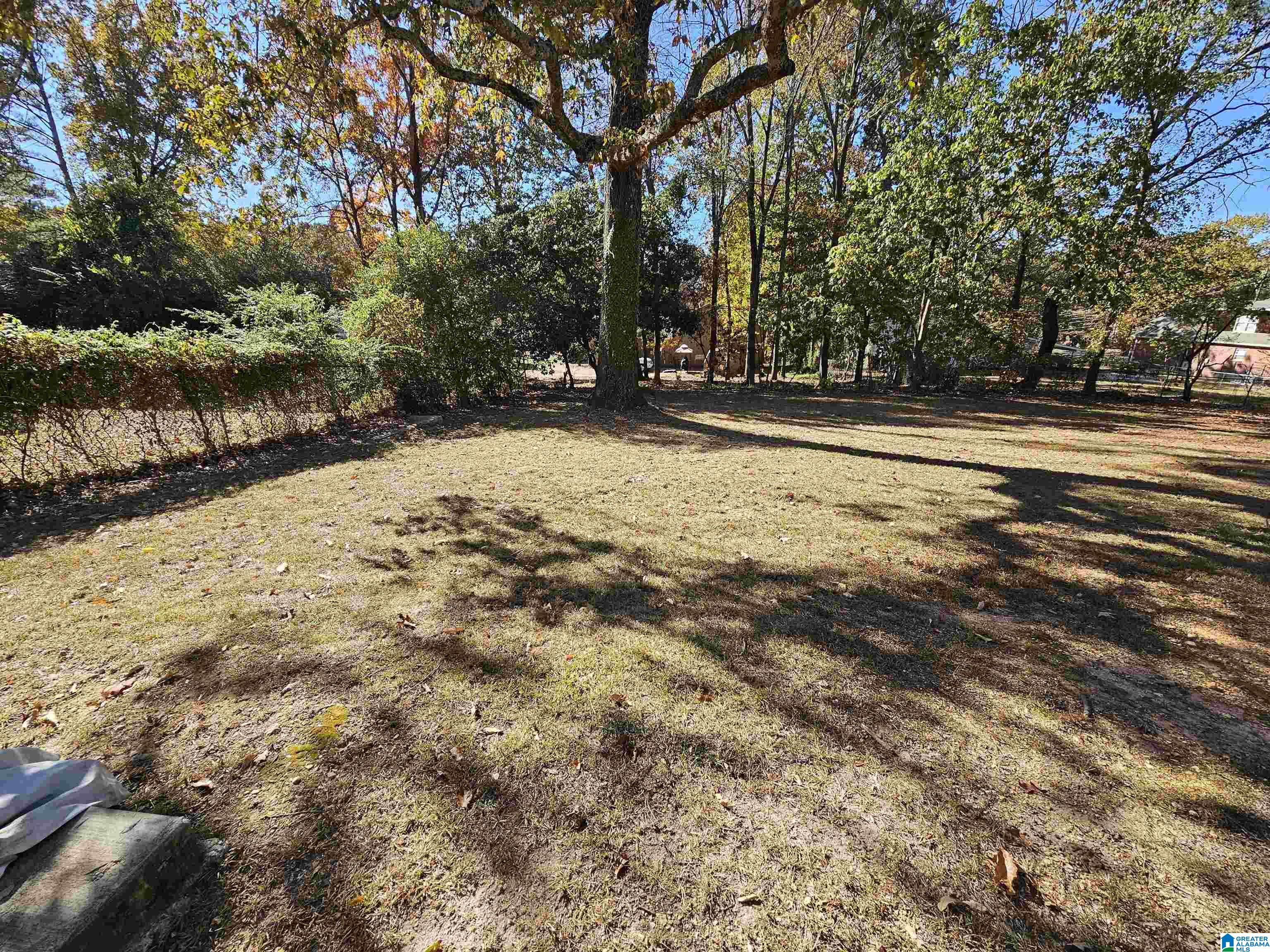 1436 Farmington Road Birmingham, AL 35235 - Photo 15 of 17