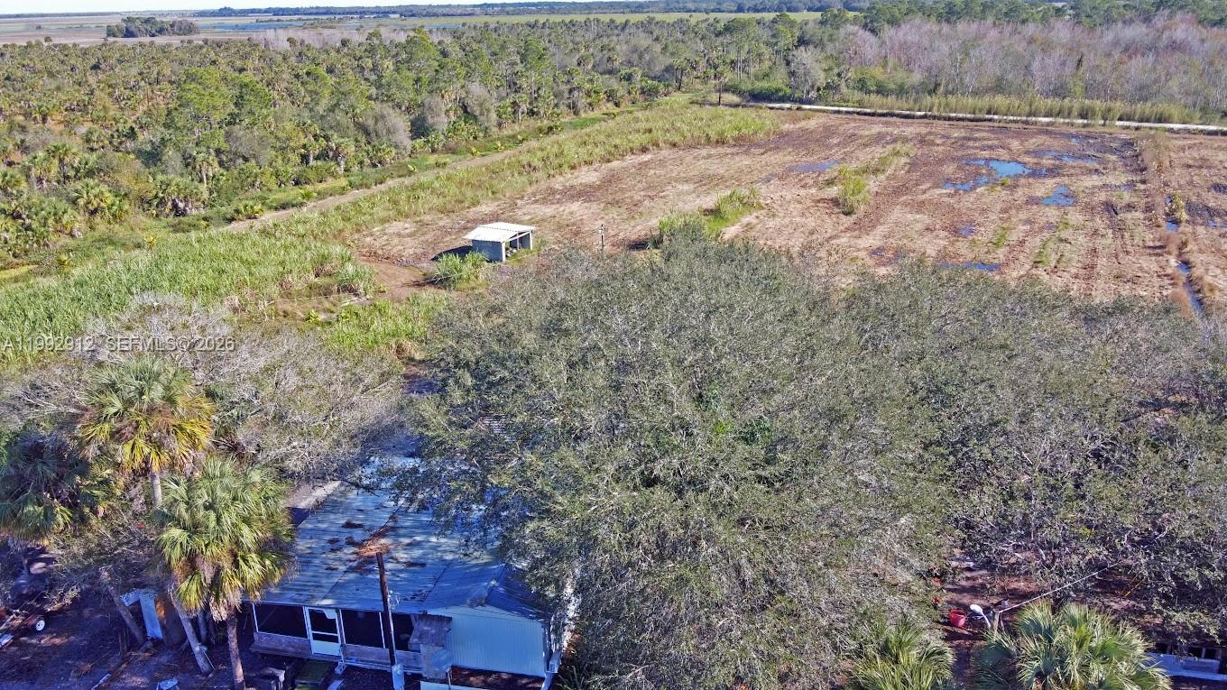 4850 Pioneer 2nd Street Clewiston, FL 33440 - Photo 12 of 34 a view of a yard with plants