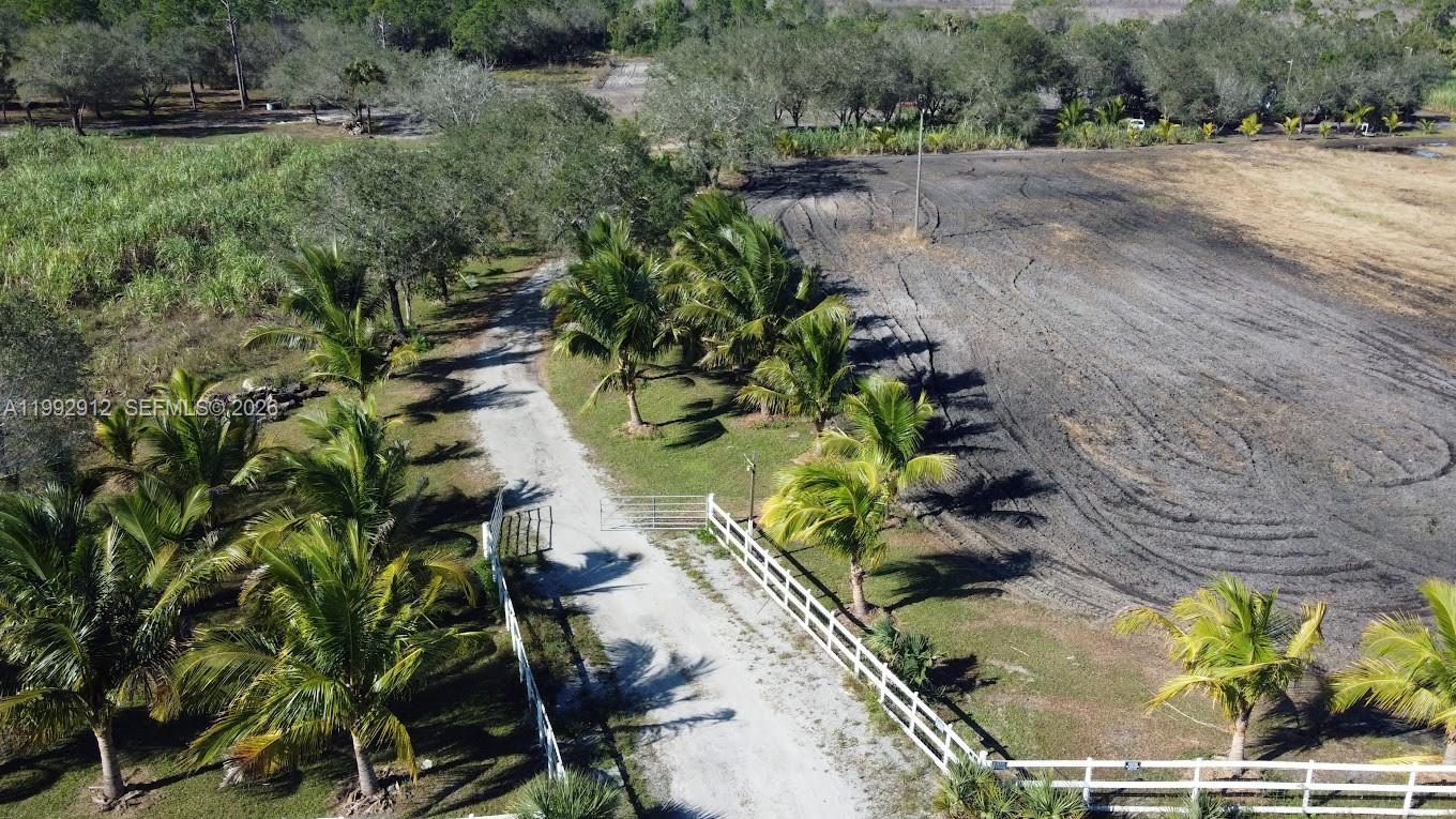 4850 Pioneer 2nd Street Clewiston, FL 33440 - Photo 2 of 34 a view of a yard with plants