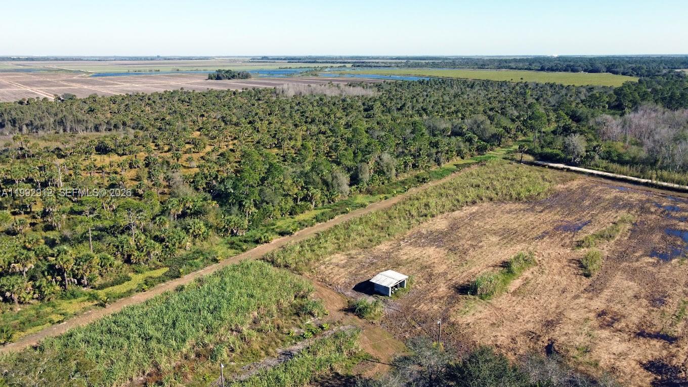 4850 Pioneer 2nd Street Clewiston, FL 33440 - Photo 24 of 34 a view of a yard with an outdoor space
