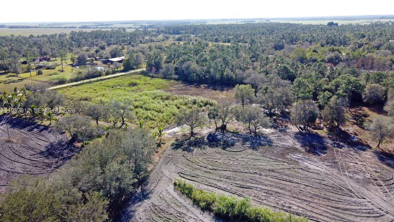 4850 Pioneer 2nd Street Clewiston, FL 33440 - Photo 26 of 34 a view of a forest with a yard