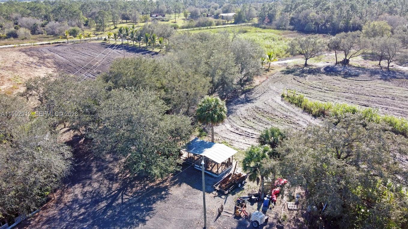 4850 Pioneer 2nd Street Clewiston, FL 33440 - Photo 10 of 34 a view of a yard with plants