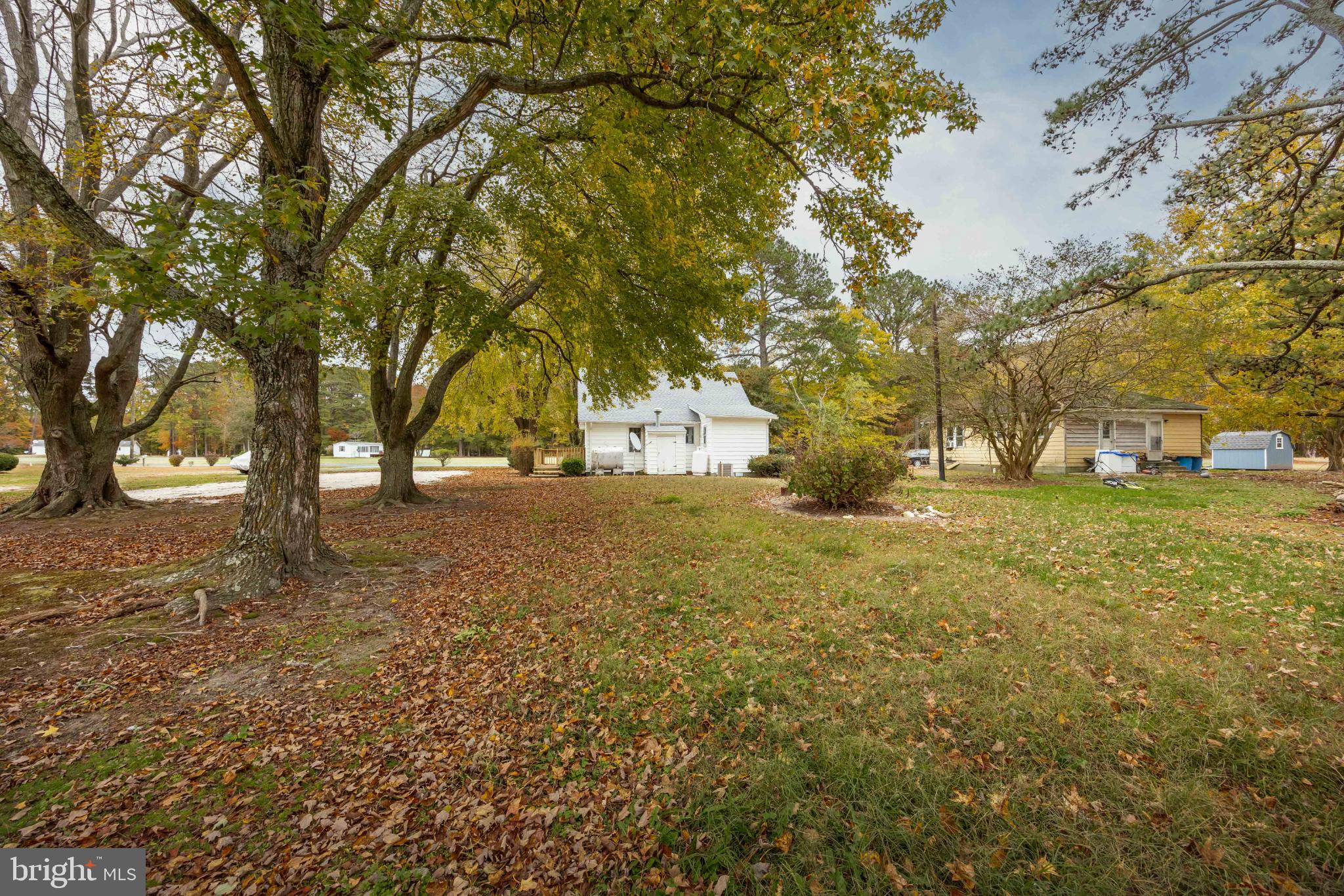 28766 Larry Lankford Road Princess Anne, MD 21853 - Photo 30 of 38 a view of yard with trees