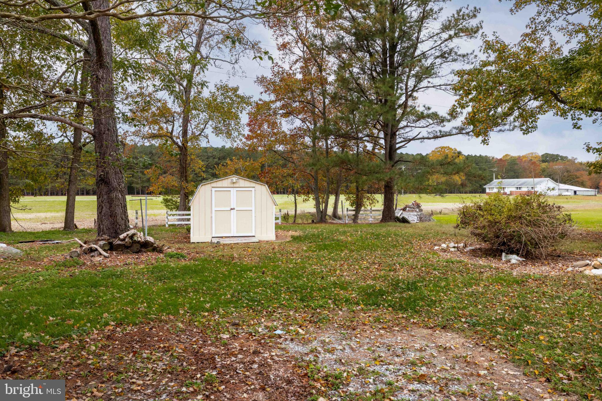 28766 Larry Lankford Road Princess Anne, MD 21853 - Photo 37 of 38