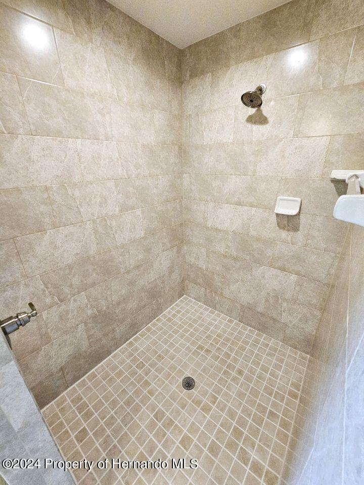 13365 Ruffed Grouse Road Weeki Wachee, FL 34614 - Photo 17 of 18 a bathroom with a shower