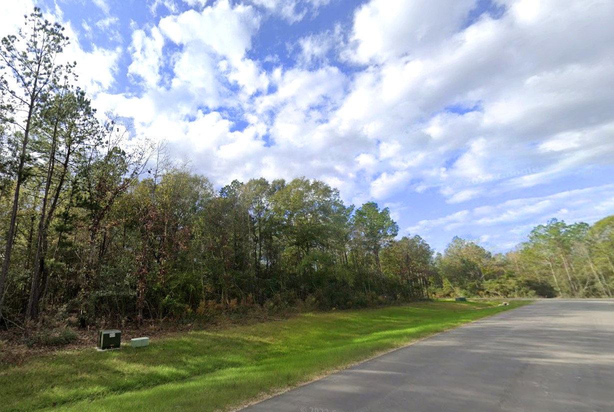 15712 Republic Ranch Road North Willis, TX 77378 - Photo 5 of 16 a view of a park