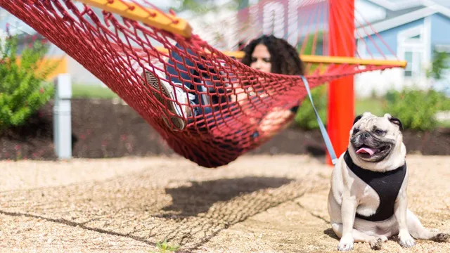 $574,900 | 7002 Woodford Way, Austin, TX 78744