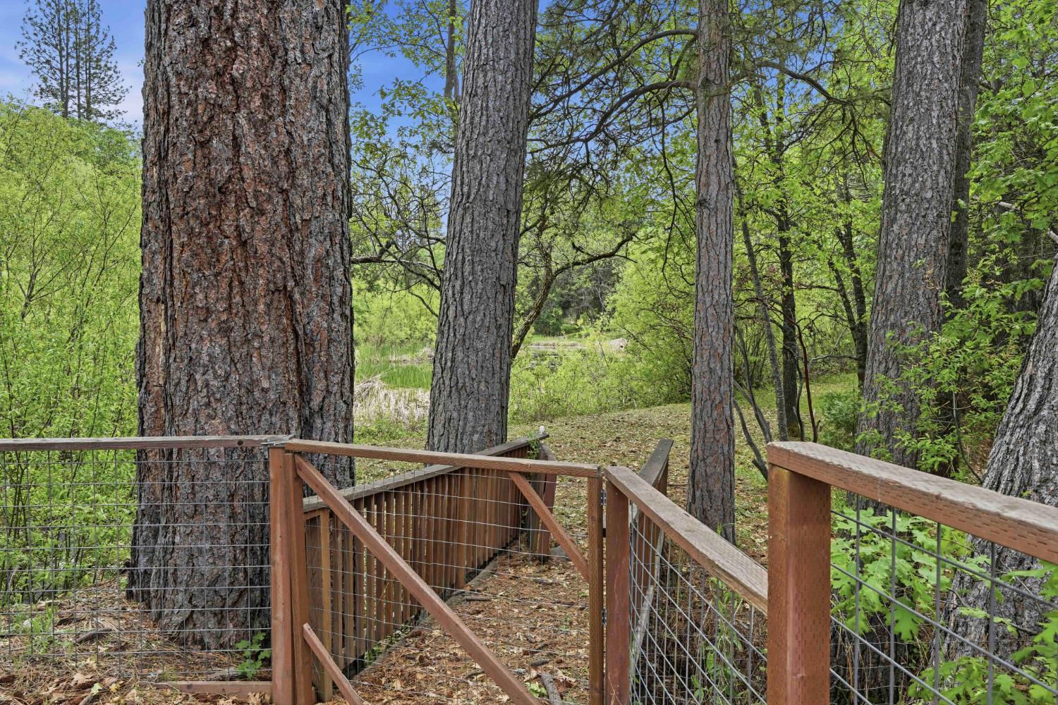 6169 Sweeney Road Somerset, CA 95684 - Photo 51 of 75