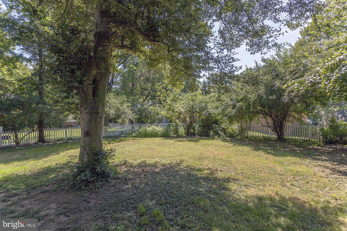 8914 Flower Avenue Silver Spring, MD 20901 - Photo 24 of 25 large back yard