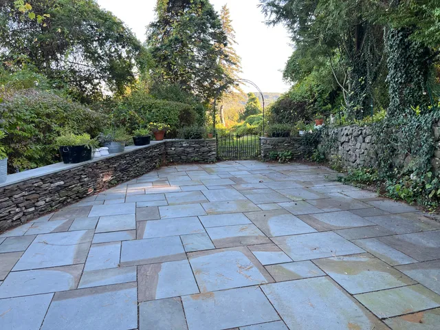 a view of a yard with trees