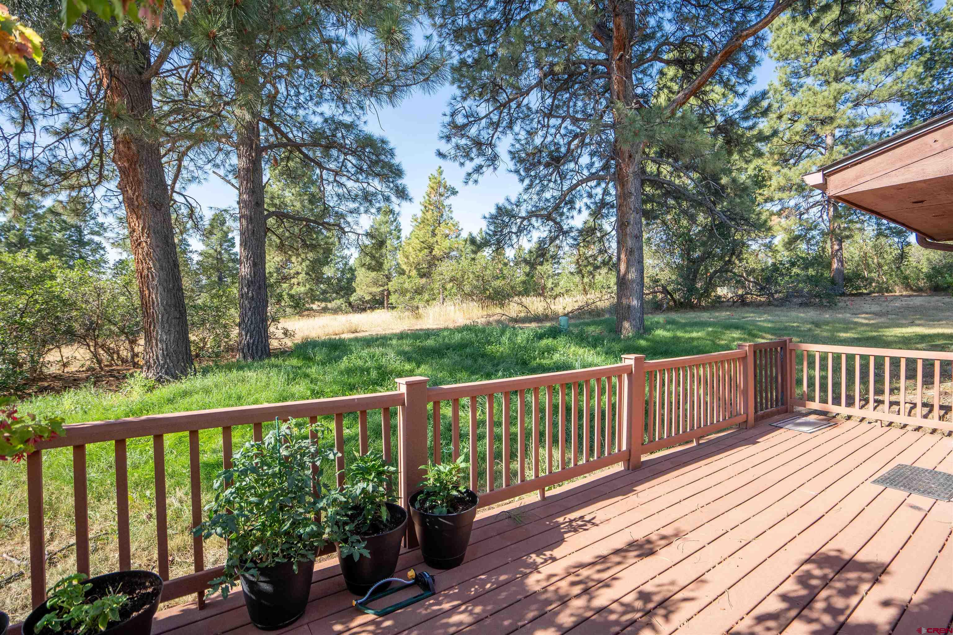 222 Pine Ridge Loop Durango, CO 81301 - Photo 18 of 27 Gallery Image 18