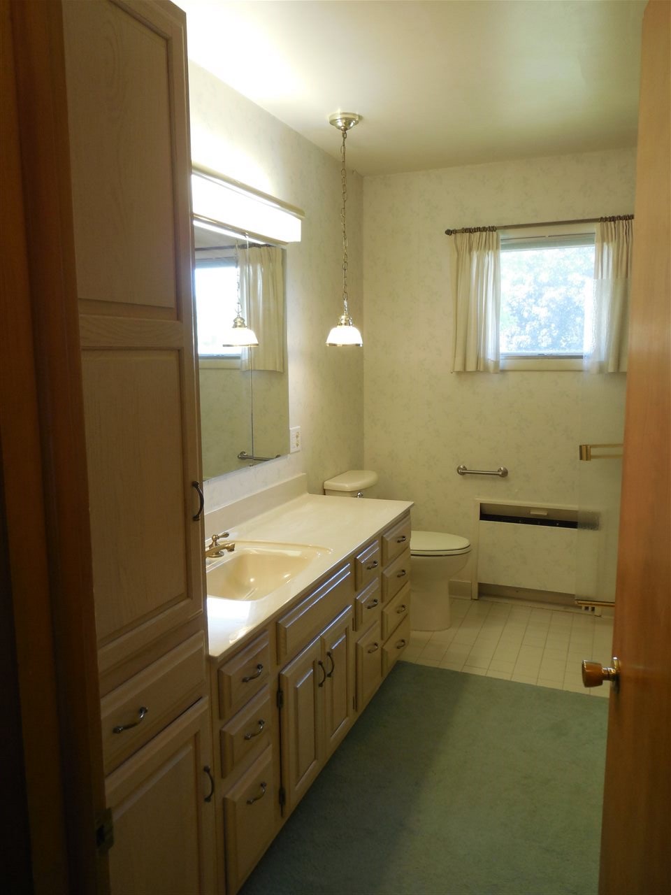 1019 Falkirk Road Alma, MI 48801 - Photo 11 of 36 1876239-10.JPG