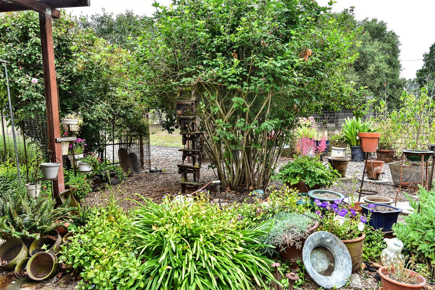 704 Bloomfield Road Sebastopol, CA 95472 - Photo 39 of 47