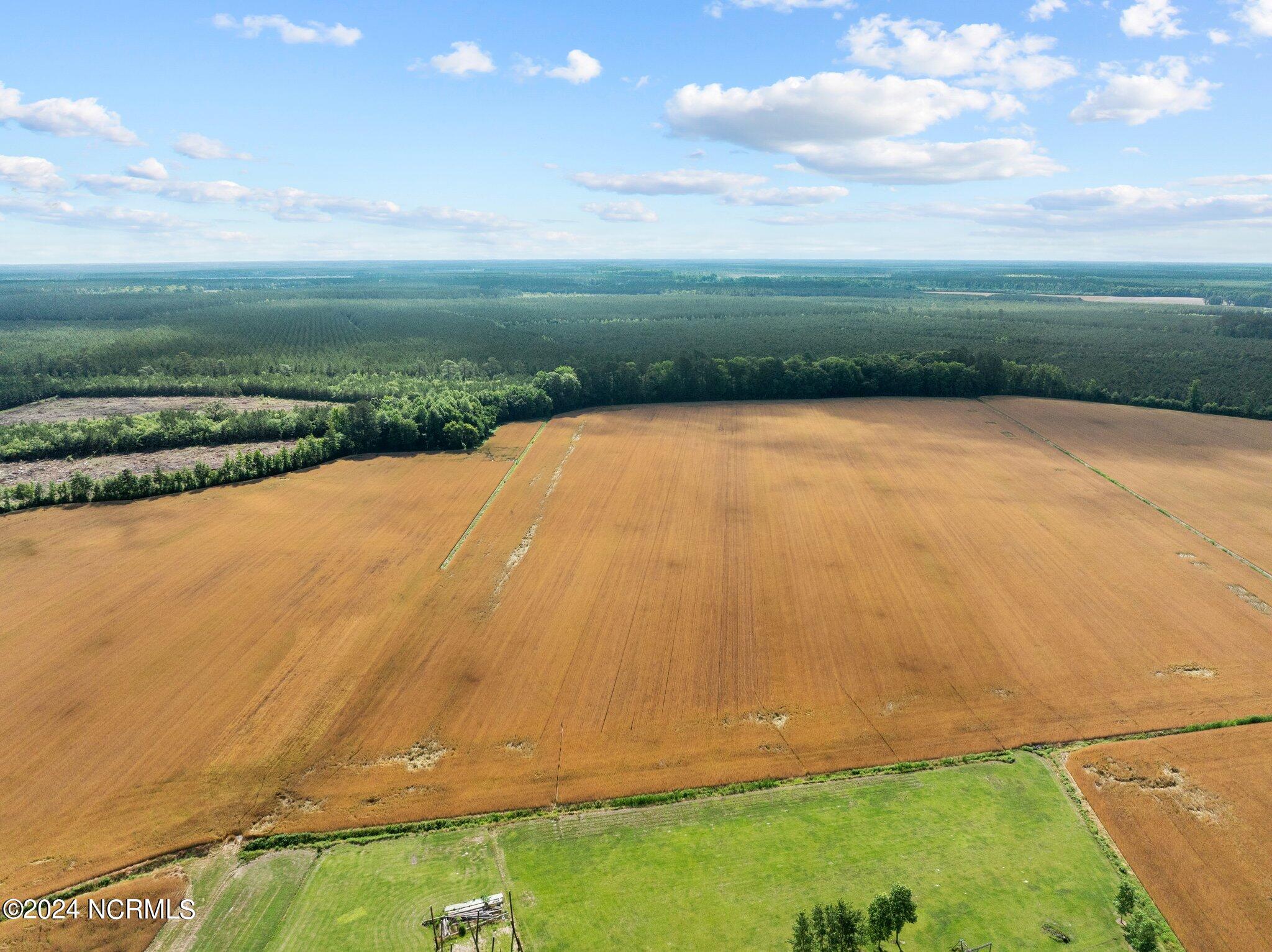 800 Lewis Road Vanceboro, NC 28586 - Photo 2 of 20 800 Lewis Road