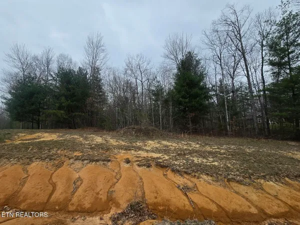 $38,000 | Lot 93 Kayla Lane, Oneida, TN 37841