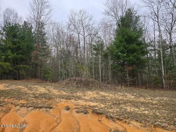 $38,000 | Lot 93 Kayla Lane, Oneida, TN 37841