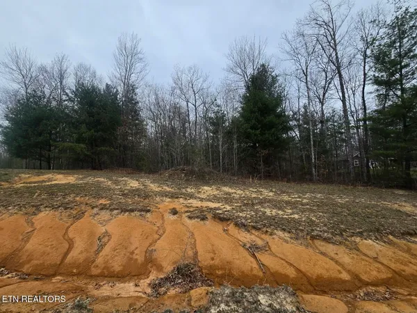 $38,000 | Lot 93 Kayla Lane, Oneida, TN 37841
