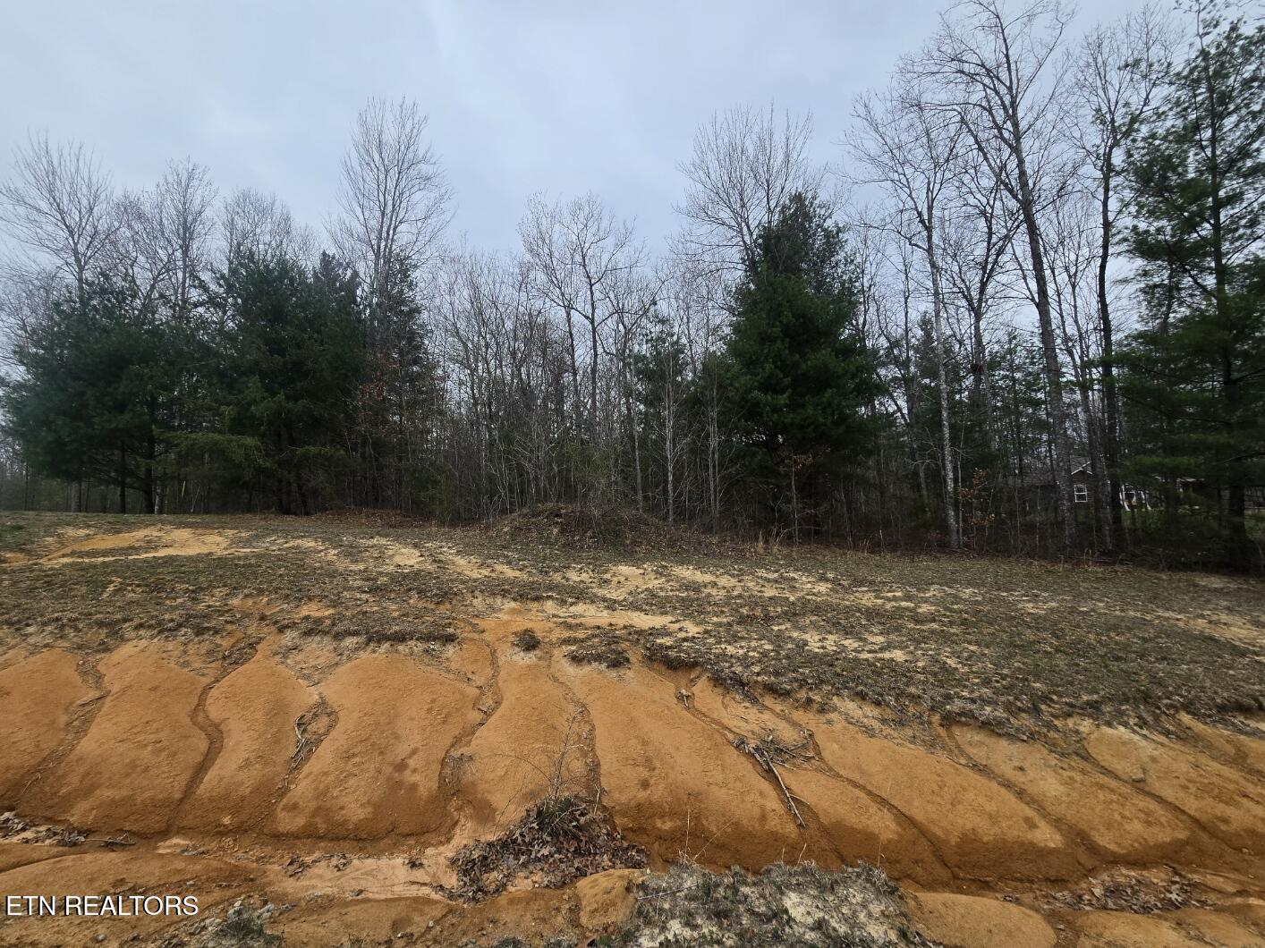 Lot 93 Kayla Lane Oneida, TN 37841 - Photo 5 of 8 20260327_125756