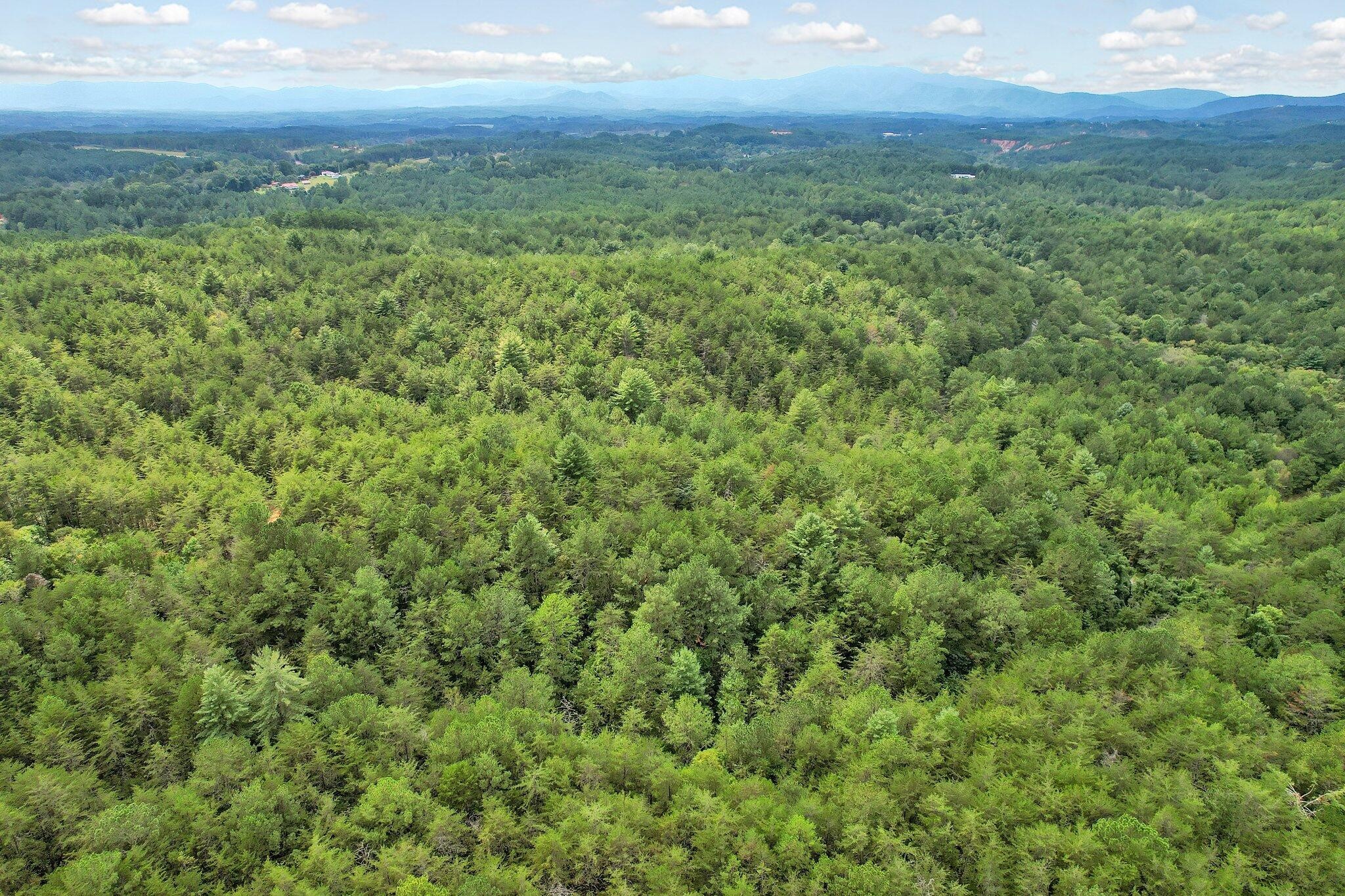 0 Golf Course Road Copperhill, TN 37317 - Photo 4 of 7 a view of a field of grass and trees