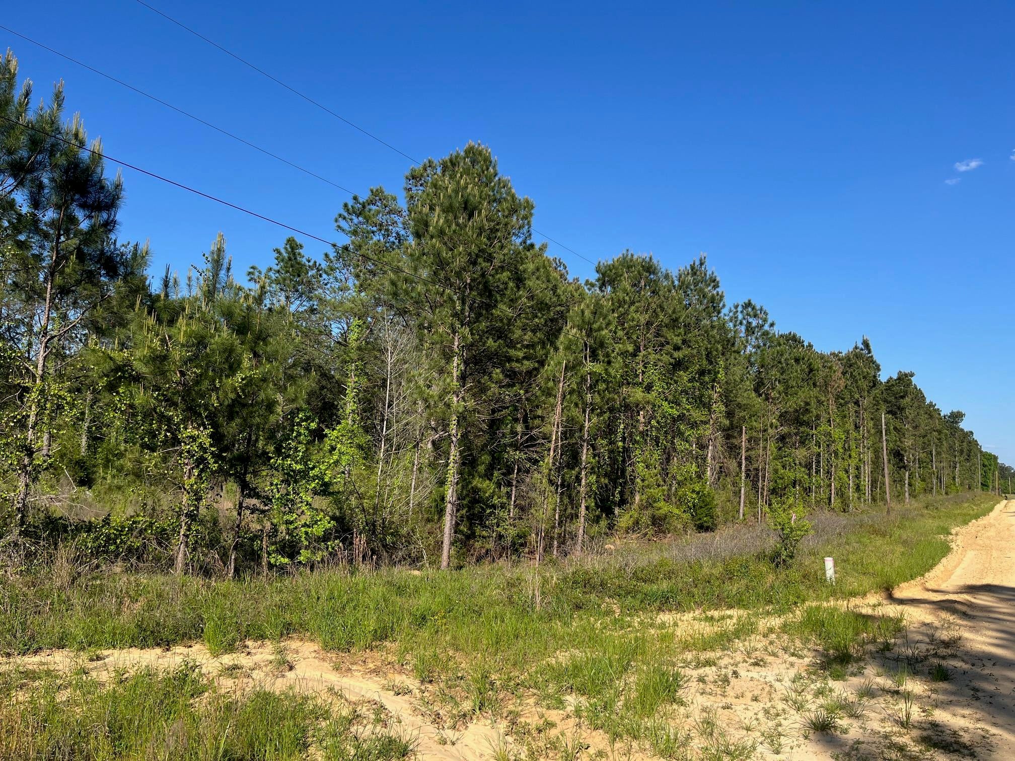 0 Judge Smith Road/loango Road Andalusia, AL 36421 - Photo 7 of 9 Gallery Image 7