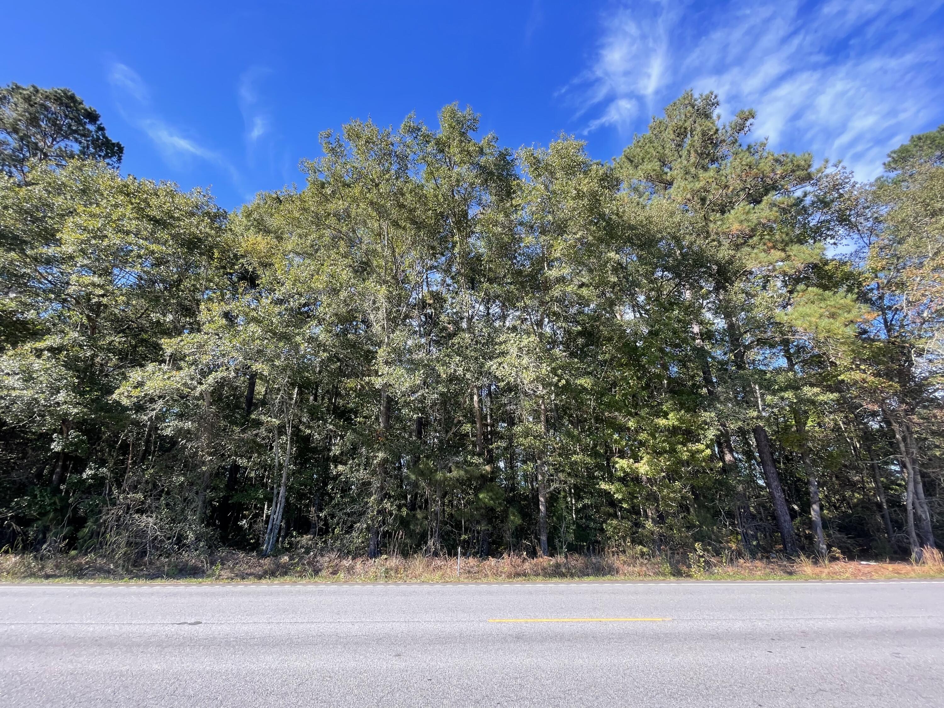 0 Cooper Store Road Moncks Corner, SC 29461 - Photo 7 of 8 IMG-4246