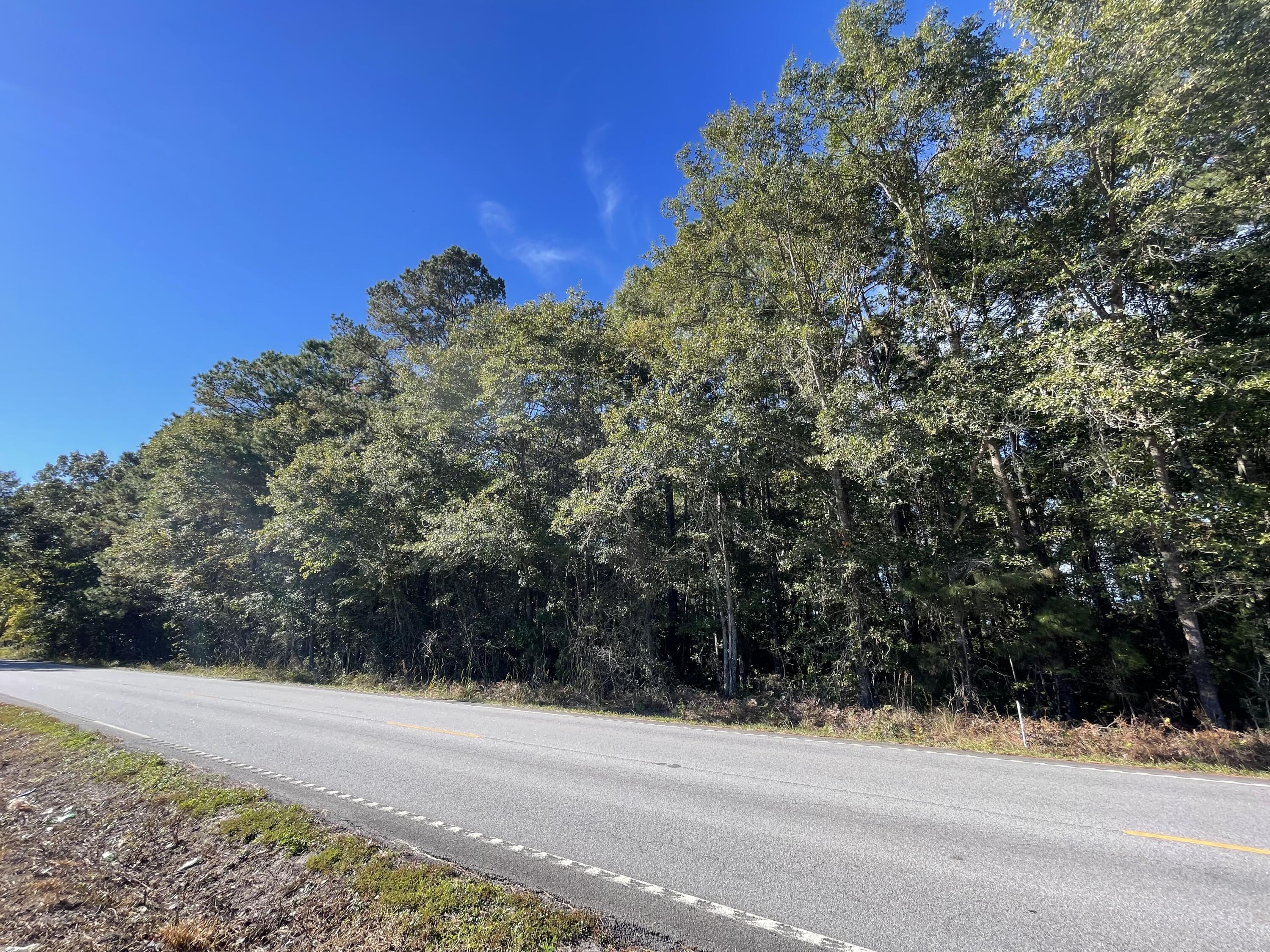 0 Cooper Store Road Moncks Corner, SC 29461 - Photo 8 of 8 IMG-4247